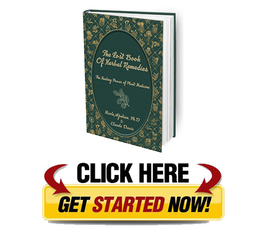 Buy The Lost Book Of Herbal Remedies At Low Price Technuto02