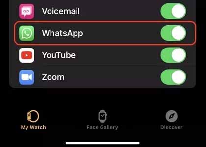 How to Use WhatsApp on Apple Watch Technuto 03